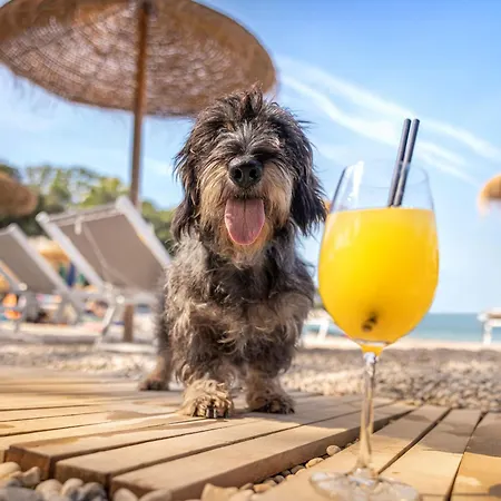 Sunny By Valamar Poreč
