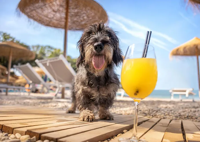 Sunny By Valamar Пореч